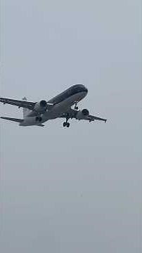 真上を飛んで行くスターフライヤーは迫力満点Seeing a StarFlyer aircraft fly directly overhead is a truly impressive sight