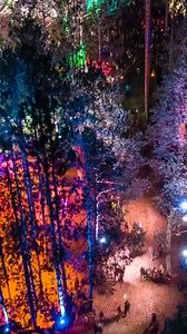 Neon Dreams. | Electric Forest