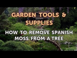 How to Remove Spanish Moss From a Tree