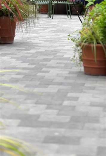 37 reactions · 4 comments | Good news for dog lovers  Thai Square is...