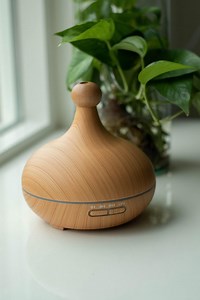 Daisy & Rose - Aroma Diffuser met Afstandsbediening en 3x10ml Etherische Oliën -... | bol