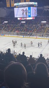 Went to a fight, and a little bit of Hockey broke out. Milwaukee Admirals vs Rockford Icehogs | Packer Driven