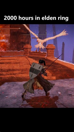 Birb is not birbing 🐦 #eldenring