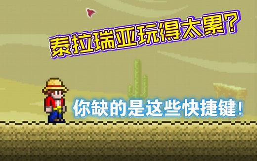 盘点泰拉瑞亚那些快捷键2（萌新向）