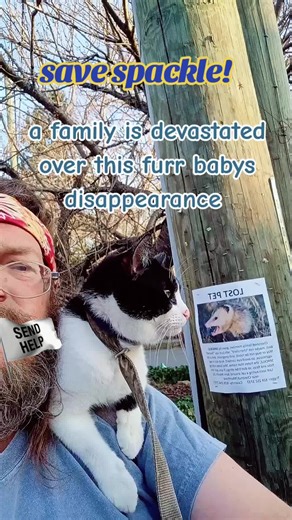Save Spackle: The Story of a Missing Cat