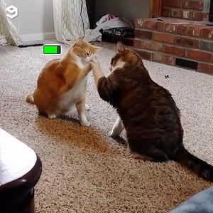 2.3M views · 7.7K reactions | After a long day at work this is what I need 殺 | 9GAG Cute | Facebook