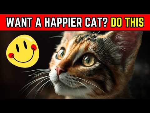 14 Things Science Says Make Cats Instantly Happier