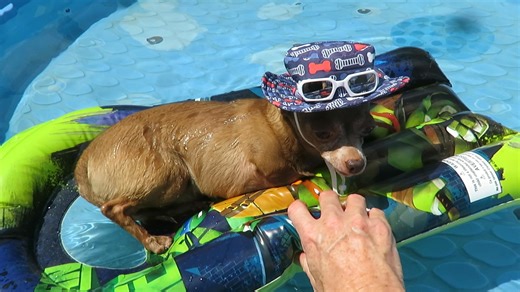 Throwback Thursday: I told Mommy that I am posting this video of me in my pool as a reminder to get my pool ready so that I can float on my raft and be a cute pool boy again 😎 #tbt #cutepoolboy | Pee-Wee's Playground