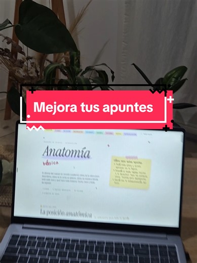 Genera una aplicación web en única página (HTML, CSS y JS) que funcione como una guía de apuntes sobre [TEMA]. Despliega el resultado en Canvas. El diseño debe incluir: ​Un menú de navegación lateral (índice). ​Contenido dividido en secciones claras, usando viñetas y resaltando conceptos clave. ​Un diseño limpio, moderno y responsivo (idealmente con un botón para modo oscuro). Asegúrate de que la información sea precisa y esté bien estructurada para estudiar. #apuntes #inteligenciaartificial #ti