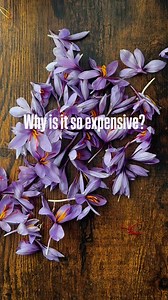 Ever wondered why saffron costs more per ounce than gold?Because each delicate flower blooms just once a year…And every single saffron thread is hand-harvested.🌱 The good news?You can grow this spice yourself—right at home.No greenhouse needed. No special tools.Just soil, sunshine, and a little fall planting.✅ Perfect for Zones 4–10✅ Preorders open now✅ Ships in time to harvest this year👉 Discover why this spice is so treasured—and how it can bloom in your own backyard. | Shesrootedhomesaffron