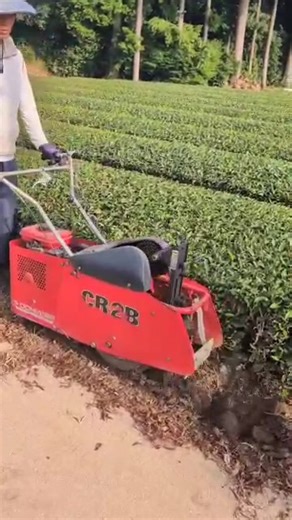 Tea leaf harvesting machine (also known as a tea plucking or tea cutting machine).