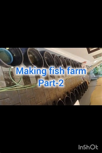 making fish farm part-2#fish #guppy #betta #fighter #fun #farm#tank #aquarium Guppy's