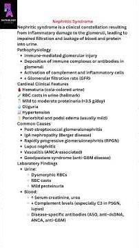 Nephritic syndrome #pathologyacademy #draditikumar #pathology #medicaleducation #lab