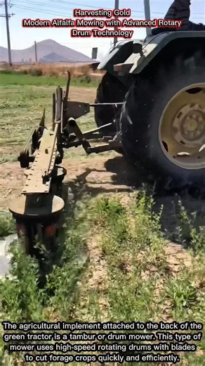 Harvesting Gold | Modern Alfalfa Mowing with Advanced Rotary Drum Technology