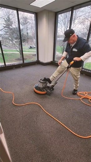 How Janitors REALLY Clean FUNKY Smelln' Carpets! #DreamTrackAI #cleaning #shorts