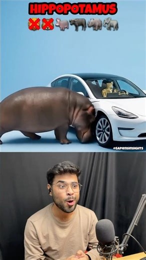 Which Animal Can Crush Your Car? 🐯🐻