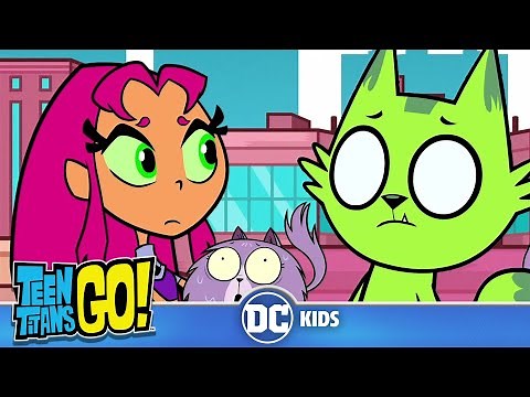 Teen Titans Go! | Best Cat Moments! | @dckids