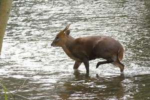 Panasonic Lumix TZ100 ZS100 sample movie: 4k Photo file