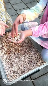 1.3K views · 16 reactions | ROCK PIT ✨ Move over sand, these pebbles are the new favourite. I haven’t made a proper rock pit since Henry was 3 (now almost 12)! Time has changed nothing: kids still love rocks. Tomorrow I add trucks!!!朗 | Where Learning Meets Play | Facebook