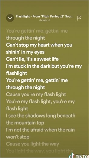 #flashlight #jessiej #lyrics #songlyrics #trend #fyp