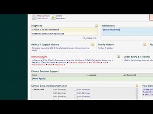 An Overview of the Patient Facesheet