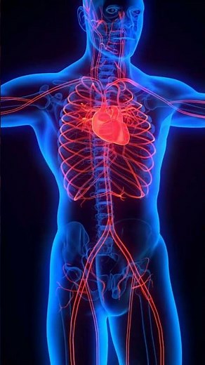 CT Calcium Score Scan