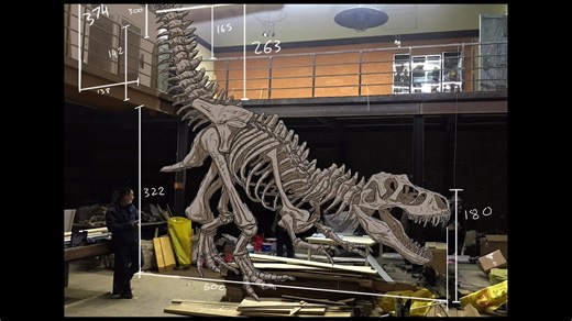 Zombie Dinosaur 僵尸恐龙-介绍