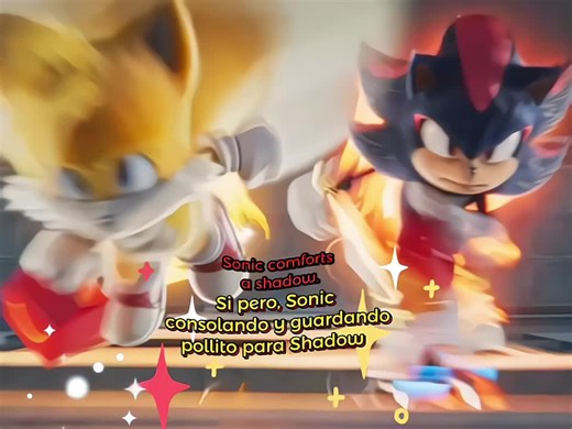 Sonic and Shadow: The Cutest Moments Together