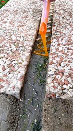 The Secret To Beautiful Backyards In Canada। Backyard Design