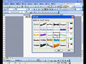 Word 2003高级视频教程58