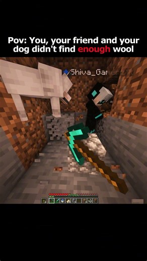 When you didn't find enough wool