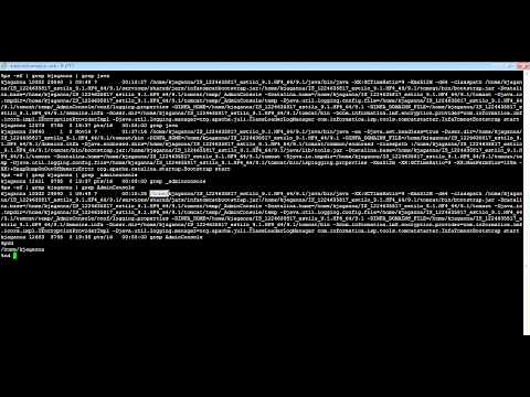 How to shutdown and Start Admin Console Service Process from Command line