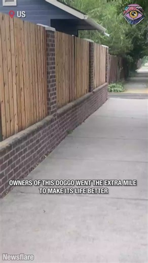 81K views · 322 reactions | Cowboy dog says hello to passersby | Bright Side | Facebook