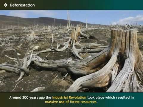 Deforestation and Desertification