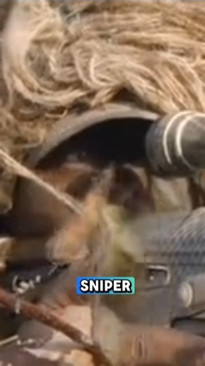 Ghillie Suit Sniper Locked In | Extreme Long-Range Stealth Shot”. #battlezone #warzonemania