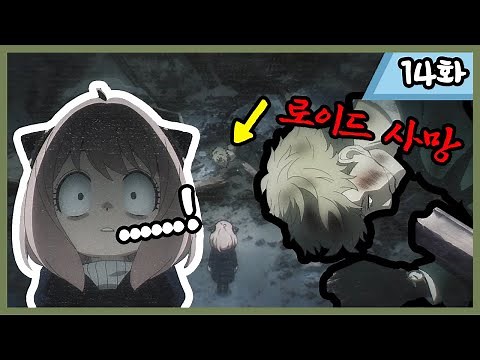미래에서 본 로이드의 죽음...?아빠가 위험해!! 스파이패밀리 2쿨 14화 다시보기! [애니리뷰]