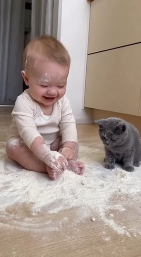 **“Flour Explosion! Baby’s Fart Knocks Out the Kitten 😂🐱💨” #baba #shorts #funny #WorldSeries #fallfoliage #motivation #movie #story | Crazy Situation
