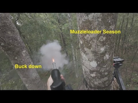 2 Public Land Bucks during Muzzleloader Season. Primer FAIL!