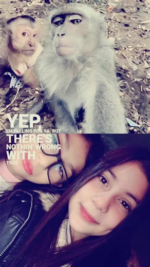 Videos de . _losh.- (@.._losh) con “sonido original - . _losh.-”