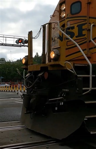 BNSF🚂Train Loud Horn Sound ASMR [Meeker St Kent Washington USA] #satisfyingsounds tisfyingsounds