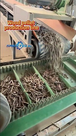How are wood biomass pellets produced in large quantities?#Wood pellets#pellet machine#Pellet fuel