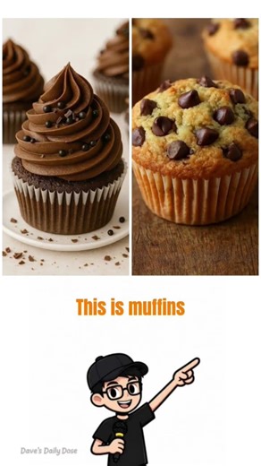 Coffee vs Espresso | Cupcake vs Muffin | Biscuit vs Cookie