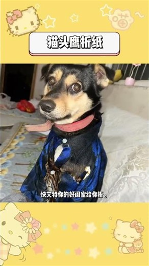 Master Owl Origami in Seconds: Art, Your Bestie's Craft Aid