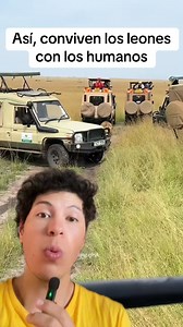 Así conviven los leones con los humanos #reelsviralシfb #viralvideo #viralpost #fbreelsfypシ゚viralシ #viralreelsシ #viralvideoreelsfb #viralvideoシ #reelsfypシ #animales #mundoanimal | Animal World