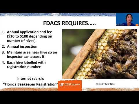 Rules and Regulations of Beekeeping in Florida (webinar)