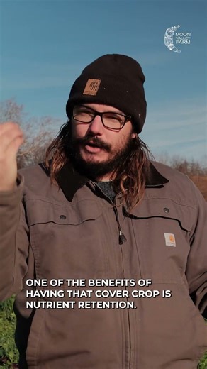 When the snow hits, cover crops go to work. ❄️