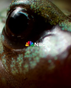 10K views · 1.1K reactions | Narrated by Tom Hanks, The Americas is an epic 10-episode television event – watch NBC on Peacock. | NBC | Facebook