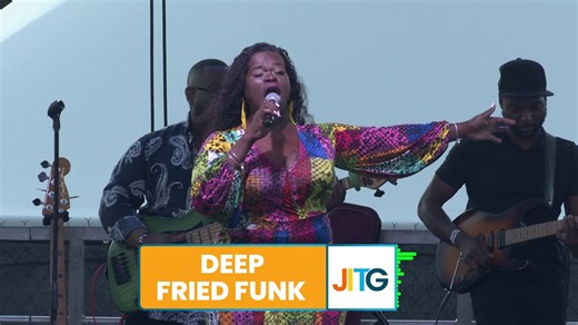 The Deep Fried Funk Band, South Florida’s local band, saturated the second stage with funk, r&b and soul vibes.  .. #JITG2022 #Recap #DeepFriedFunkBand | Jazz In The Gardens | Facebook