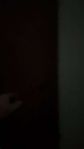 If you need bright light in places without electricity, this Solar Shed Light with Remote Control is a game changer. It charges with the included solar panel during the day and lights up your shed, barn, garage, gazebo, or chicken coop at night. With 244 bright LEDs and full 360° illumination, it lights up an entire space instead of just a small area. The remote control lets you adjust brightness, choose lighting modes, and set timers (2H, 4H, 6H) so you can customize it exactly how you want. In