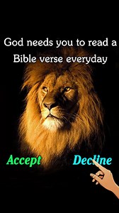 115K views · 1.6K reactions | Bible study for your mood 2 times a day, 10 mins each time. | Light Bible | Facebook